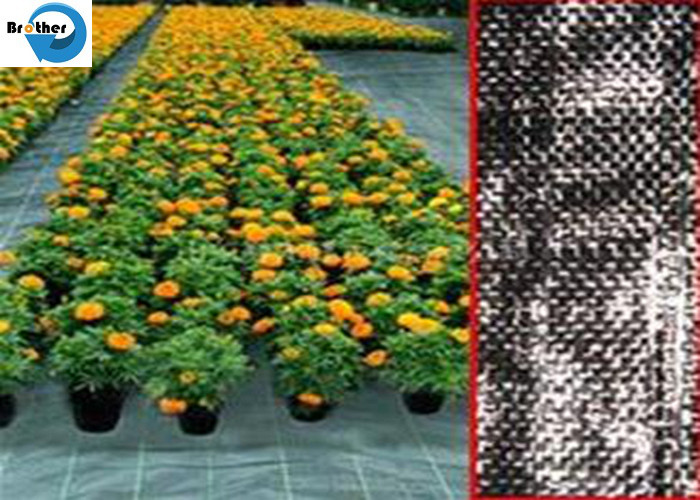 Heavy Duty Landscape Weed Control Fabric with Precut 6" Hole Spacing Perfect Gardening Weed Blocker Barrier Ground Cover