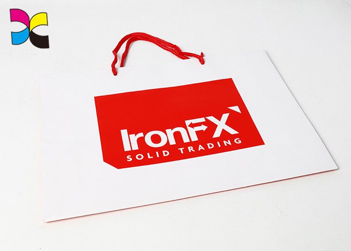 CMYK Color Offset Printing Custom Paper Bags , Promotional Paper Carrier Bags