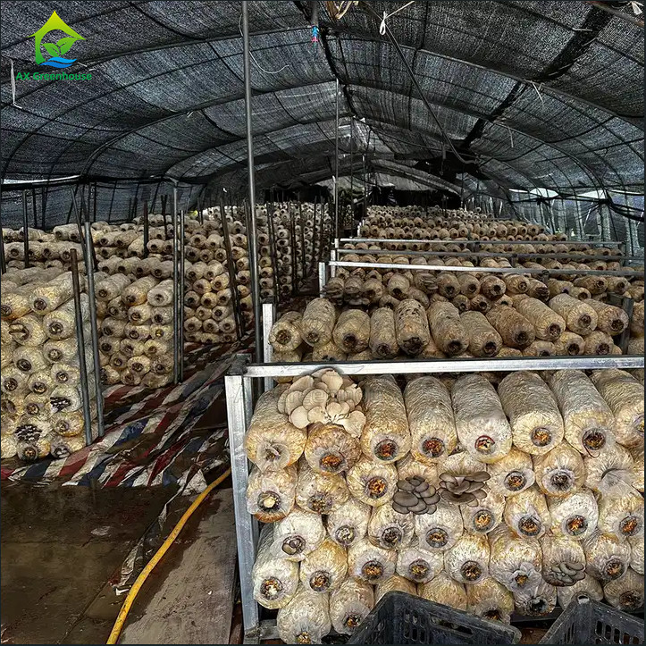 Single-span Custom Blackout Light Deprivation Automatic Greenhouse With Shading System