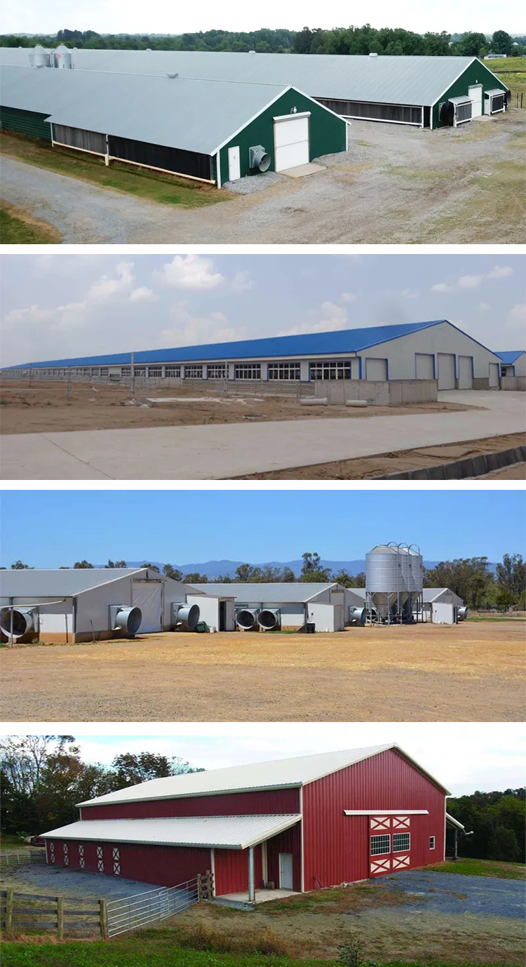 Q235B Heavy Structural Steel Prefabricated Metal Warehouse for Sheep Goat Cattle Cow Barn