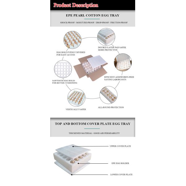 Quality Assurance Custom EPE Egg Foam Tray Oem Wholesale Egg In Egg Carton Eco-Friendly Corrugated Cardboard Egg Paper Packaging Box Customizable