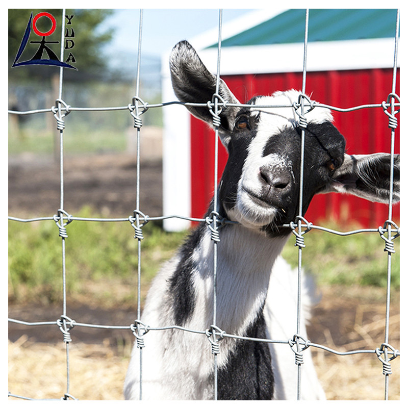 Metal Galvanized Deer Field Fence High Tensile Woven Wire Fixed Farm Cattle Fence