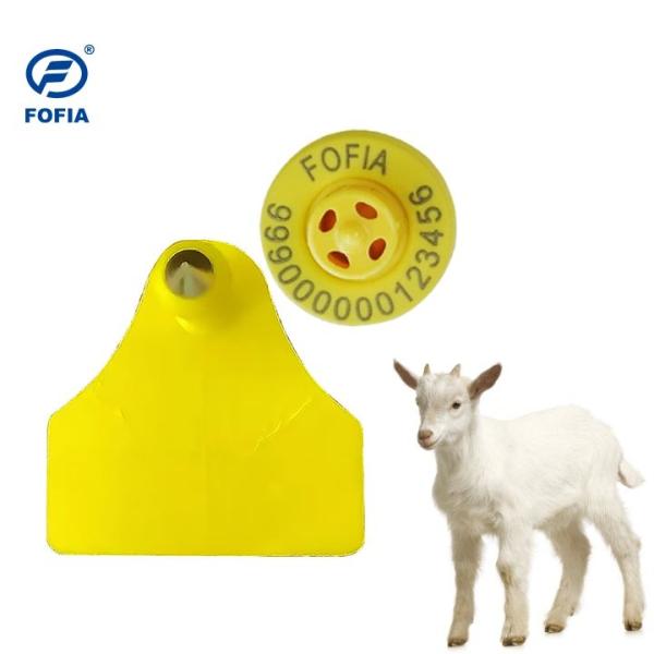 Advanced Electronic Ear Tags Sheep tags for Streamlined Livestock Identification and Monitoring