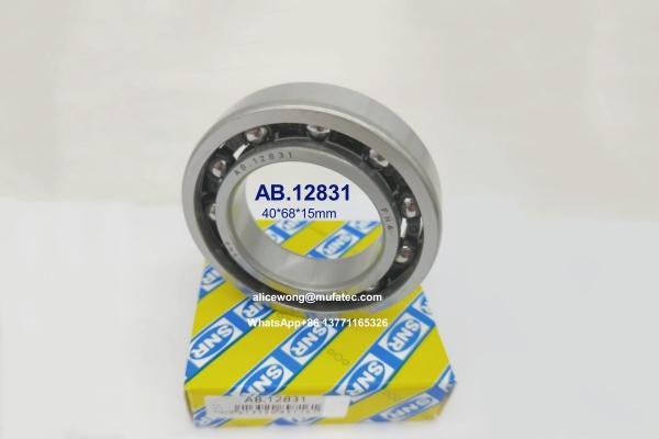 AB.12831 automotive gearbox bearings differential bearings nylon cage ball