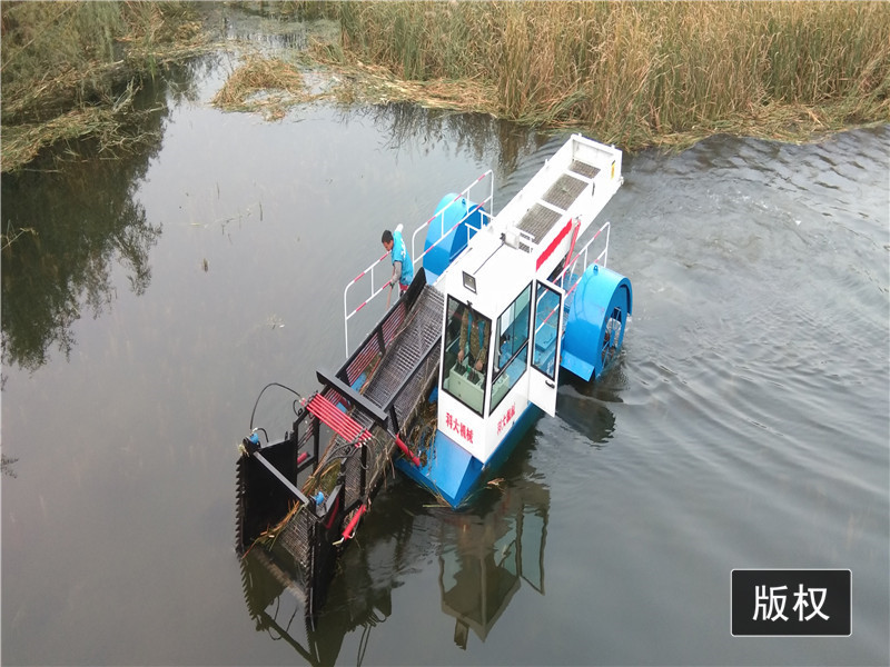 Weed Reed Harvester Lake Weed / Duckweed / Reed / Floating Algae Harvester Machine