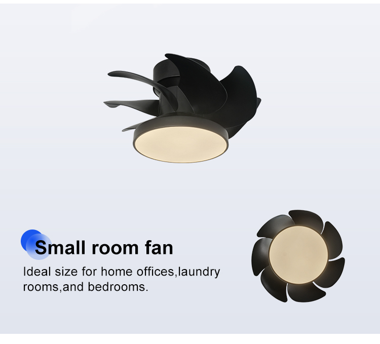 ceiling fan