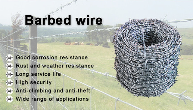 Non Rusting Boundary Wall Barbed Wire 2mm Diameter Great Protection