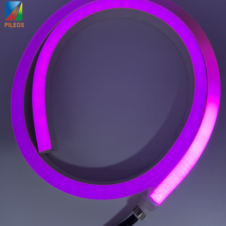 DMX512 UCS512 Neon Lights LED Light Strips with 3000K 6000K Color Temperature