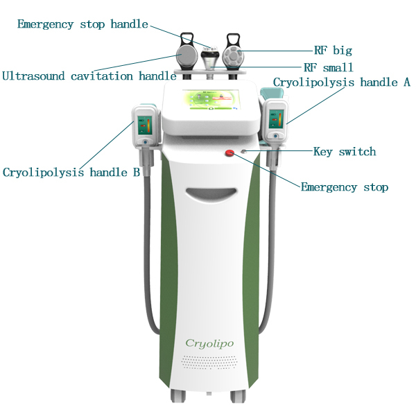 cryolipolysis slimming  machine