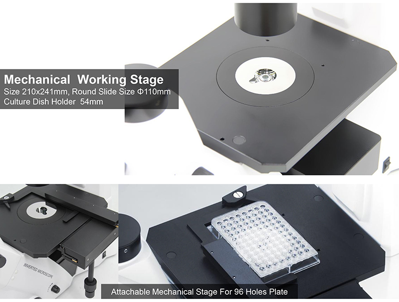 OPTO-EDU A16.2614-UL China Supplier High Brightness Inverted Ultra LED Fluorescent Microscope Price