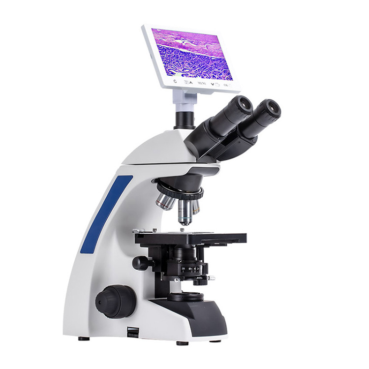 Three-Eye Hinged Observation Tube Microscope for Bacterial Observation in Science Labs
