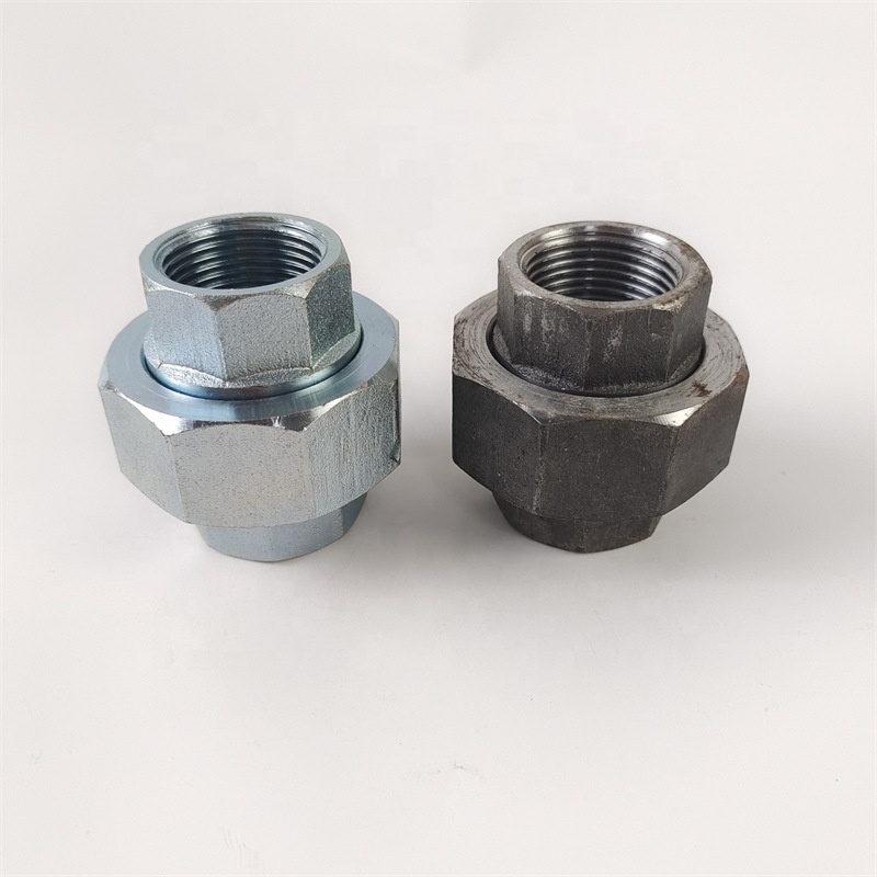 OEM Services Provided Super Duplex Stainless Steel S31803 2205 Pipe Fitting Plumbing Materials Union Female Union