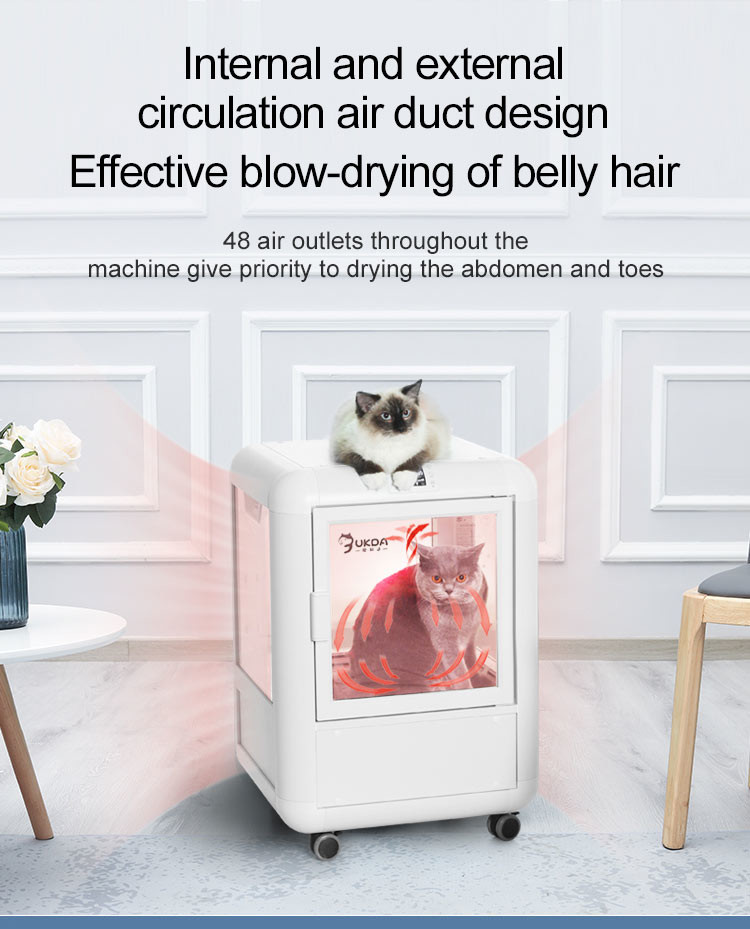 Blue Dog Drying Cabinet Automatic Grooming With Temperature Sensor