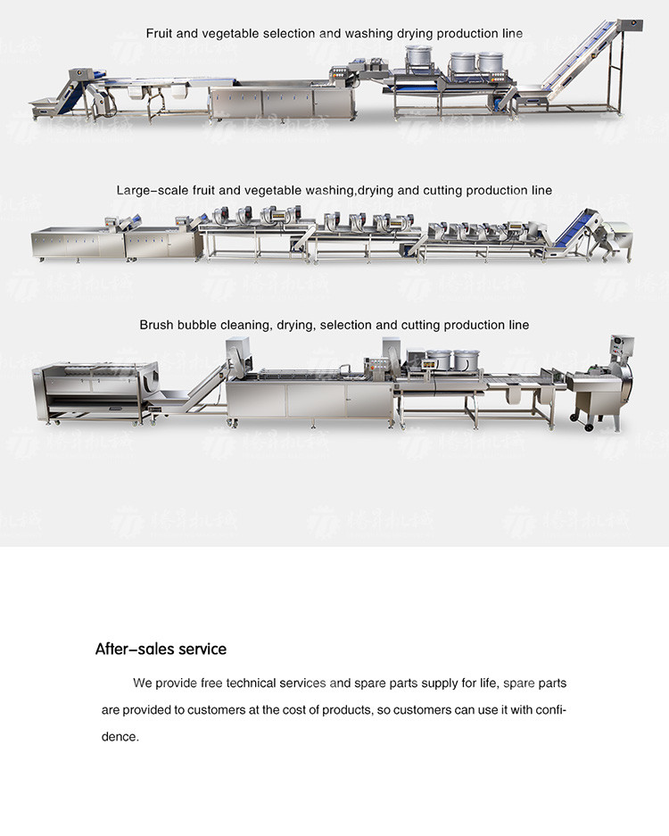 SS Fruit And Vegetable Hair Roller Bubble Cleaning Machine 800KG/H