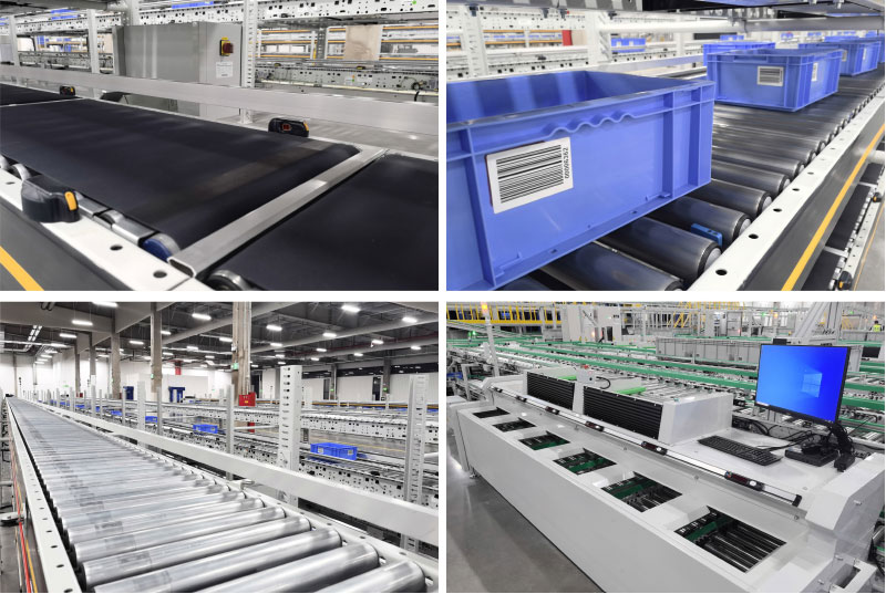 Box Conveyor & Sorting System 
