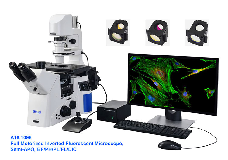 OPTO-EDU A16.1098 Full Motorized Opto Edu Microscope Semi APO BF / PH / PL / FL / DIC
