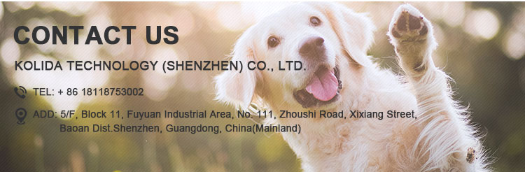 Custom Printed Small Dog Leads Leash Nylon Safety Led Flashing Strong