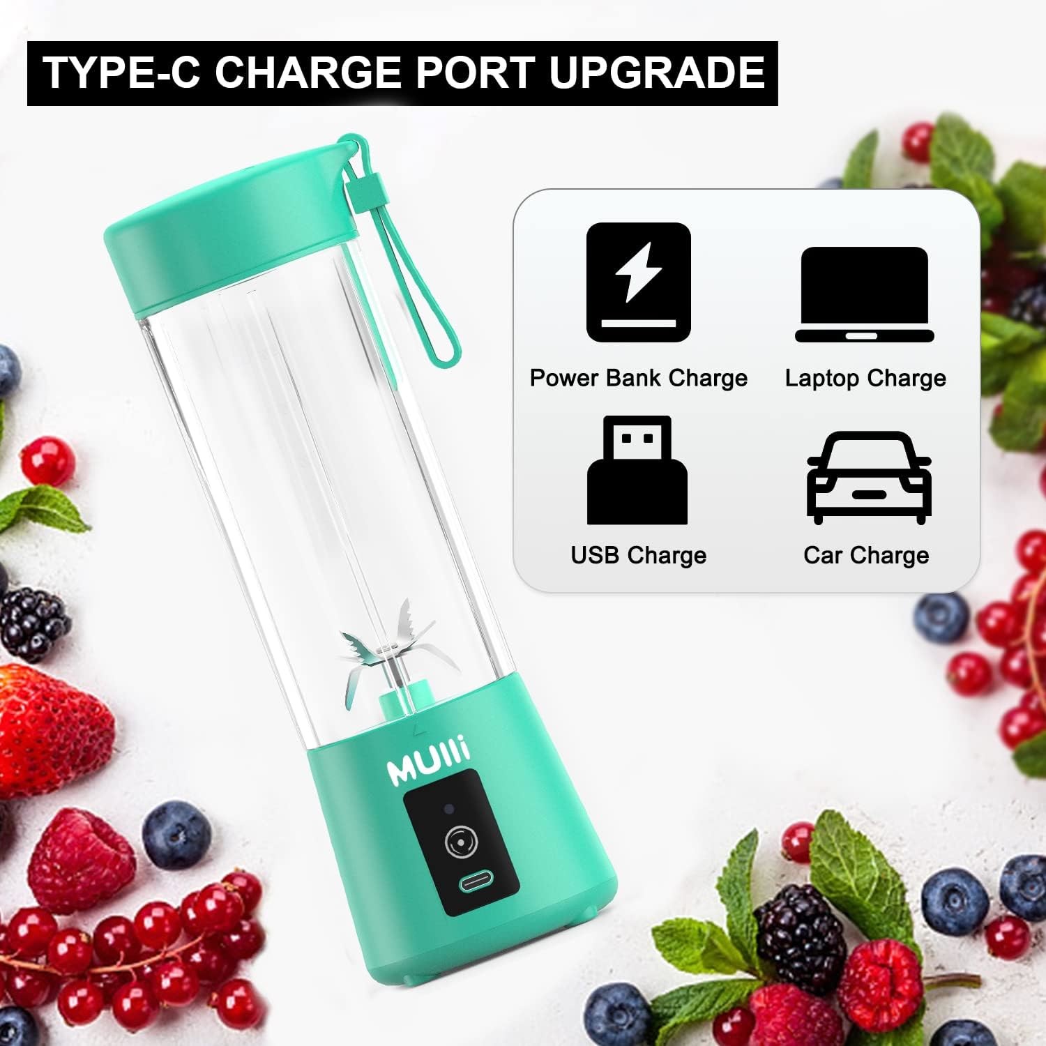 Mini Blender for Smoothie and Shakes Braising Cups for Baby Food Travel Gym and More