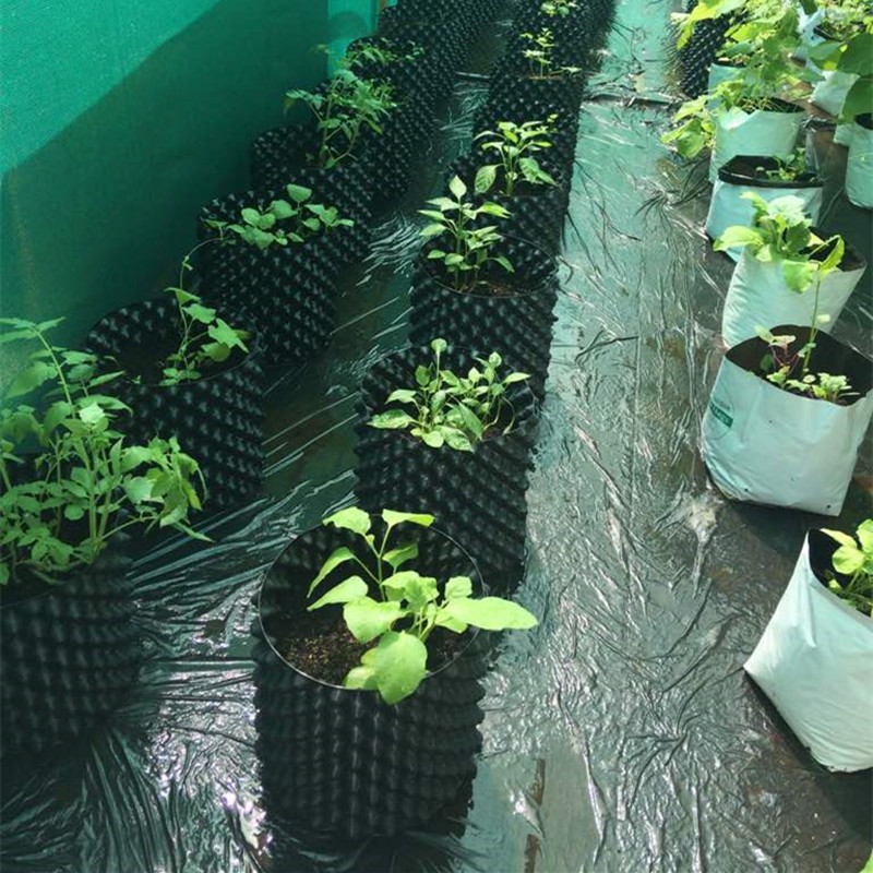 protect the root of the plants effectively of the air root pruning container