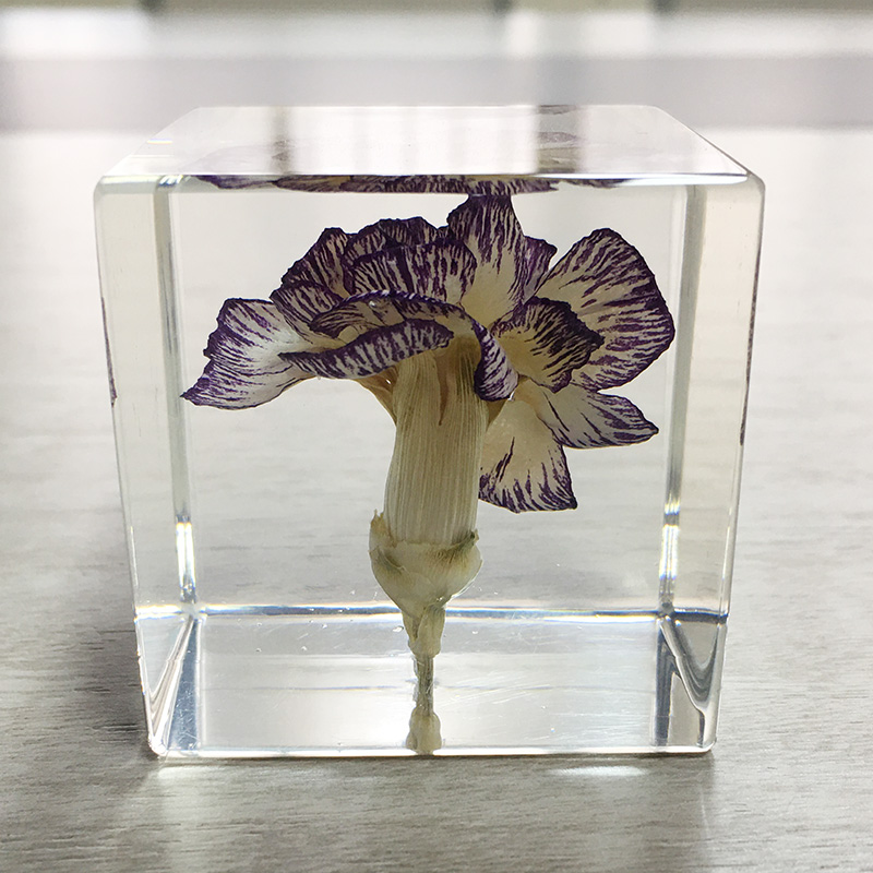 transparent cubic shaped resin paper weight with real dry flowers for home and office decor