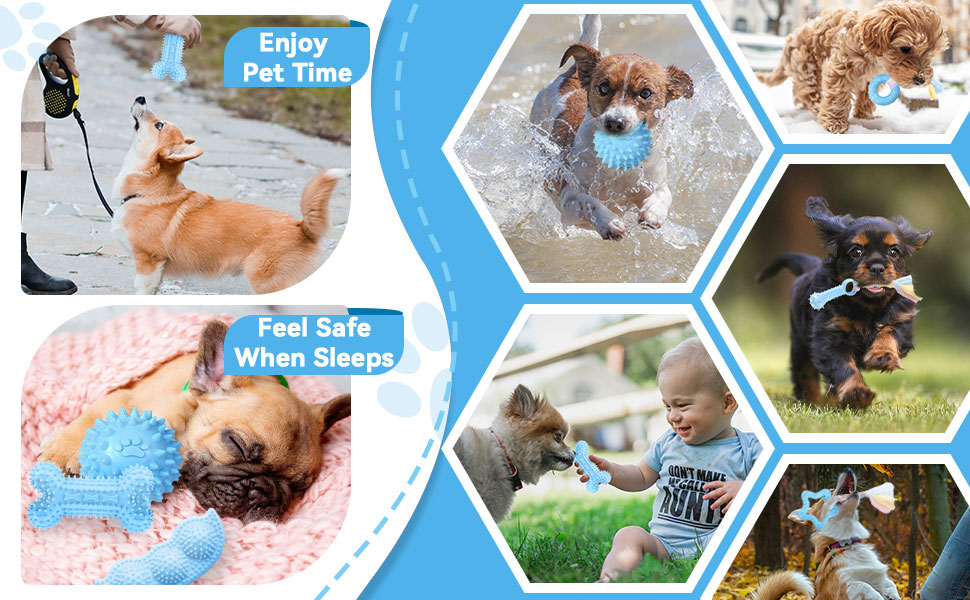 small dog toys