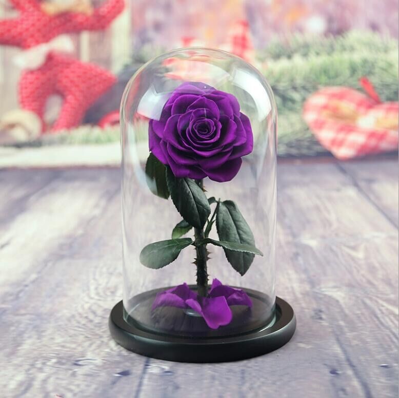 Preserved Flower Eternal Rose in Glass Long Lasting Flowers Home Decoration Everlasting Flowers