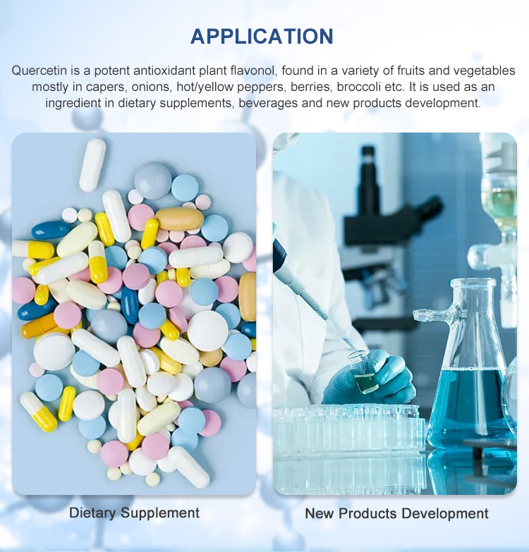 99% Purity Quercetin Bulk Supplements From Sophora Japonica Extract For Natural Ingredients