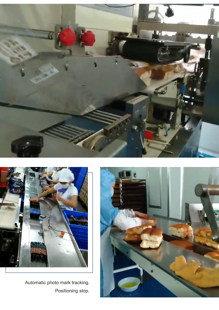 Customized Biscuit Production Machine , Wet Tissue Dried Mango Dry Food Packing Machine For Pasta