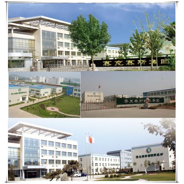 Compact Pure Water Electrolysis Oxygen Hydrogen Generator With SPE PEM Technology