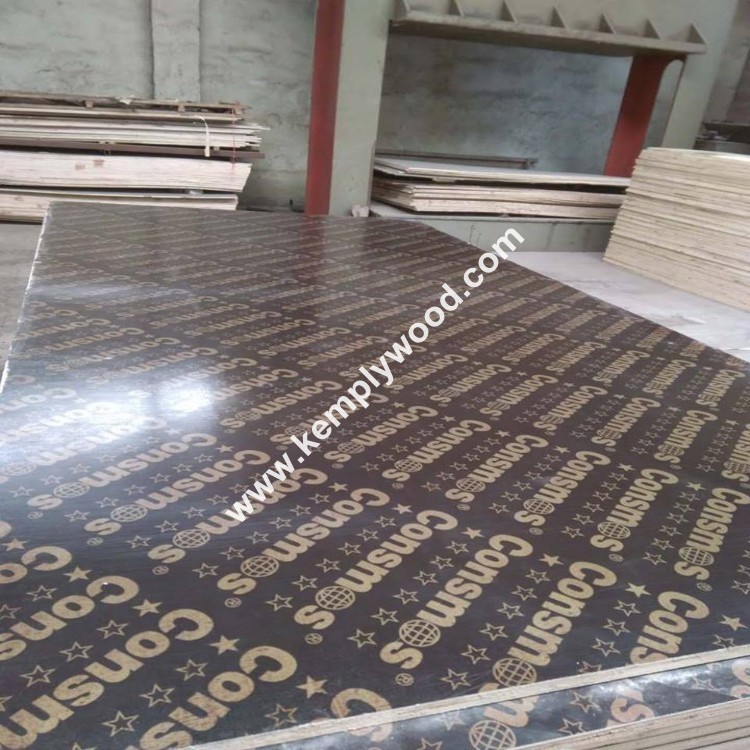 Film faced plywood, Brown film faced plywood, 1220x2440mm,1250x2500mm (PLYWOOD MANUFACTURER)