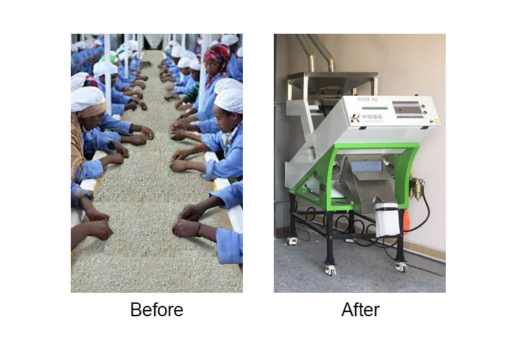 Optical Millet Seeds Sorter Quinoa Color Sorter Machine