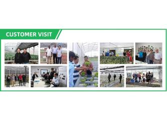 XIAMEN IGREEN INDUSTRIAL &TRADING CO., LTD.