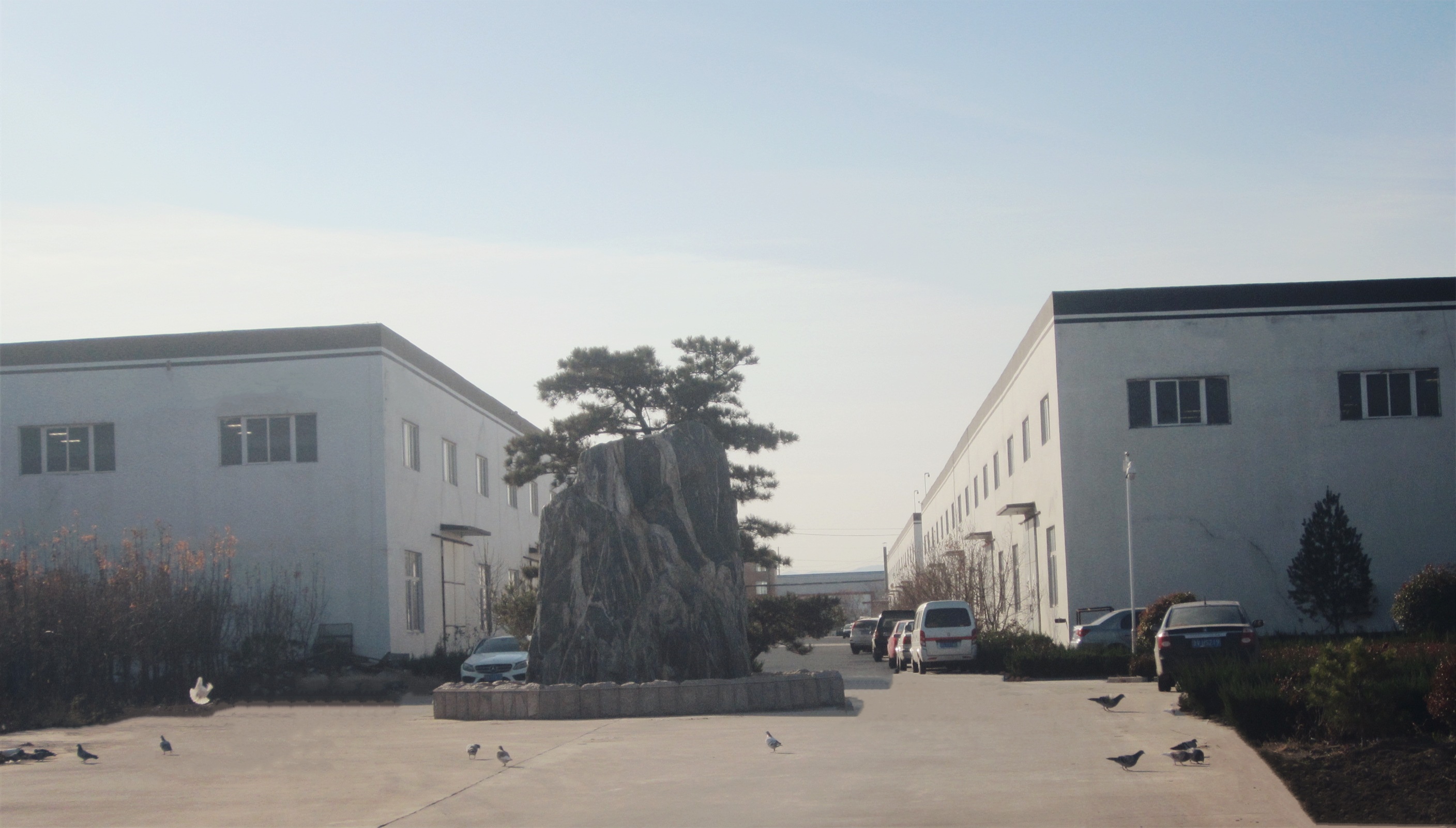 High Vacuum Metallizer Production Line 40KW for Aluminum Zinc Sulfide Gold and More Uses