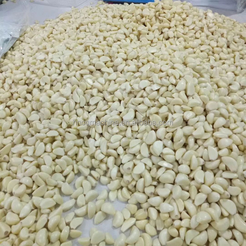 Dry Electric Garlic And Ginger Peeling Machine 30kg/H