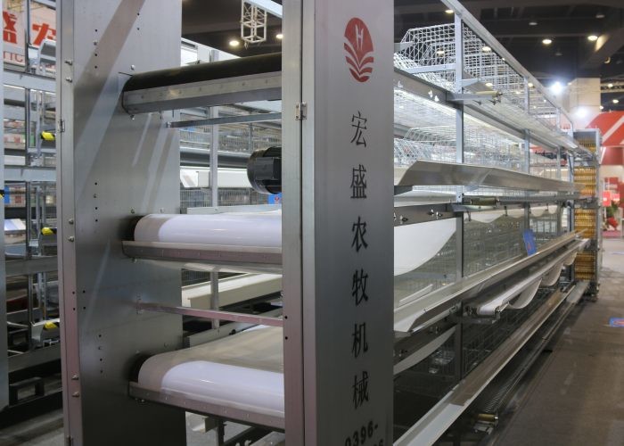 Conveyor Belt Automatic Manure Removal System Convenience ISO9001 Approved