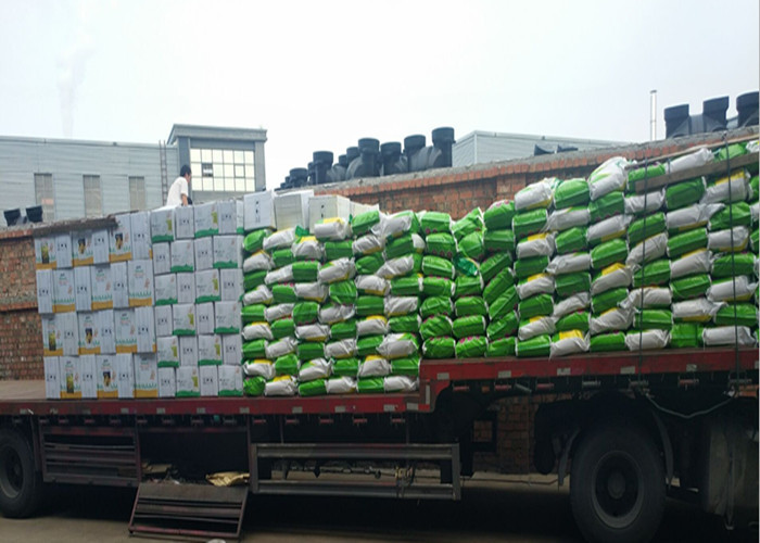 Plant Hydrolysates Rich In Peptides And Amino Acids With Enzymatic And Fermentation Process