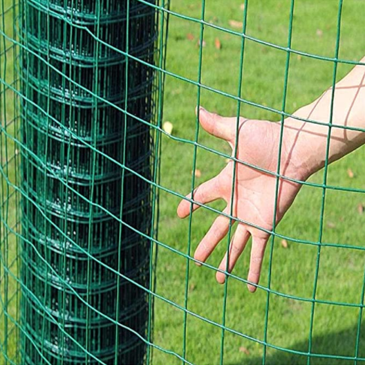 1/2 3/4 1 inches PVC Plastic coated chicken wire mesh chicken wire nettingwire mesh for chicken coop