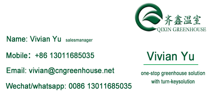 Ventilation Vents for Optimal Growth of Tomatoes and Other Vegetables in Greenhouse