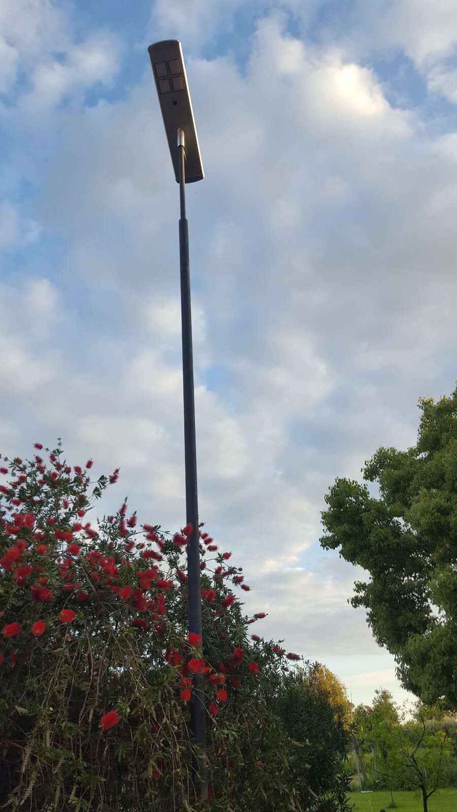 outdoor solar LED light