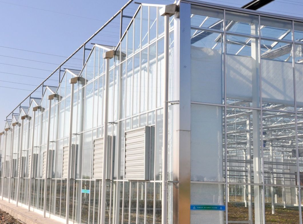Hydroponics Stromal Humidity Control Multi-Span Seedling Glass Greenhouse