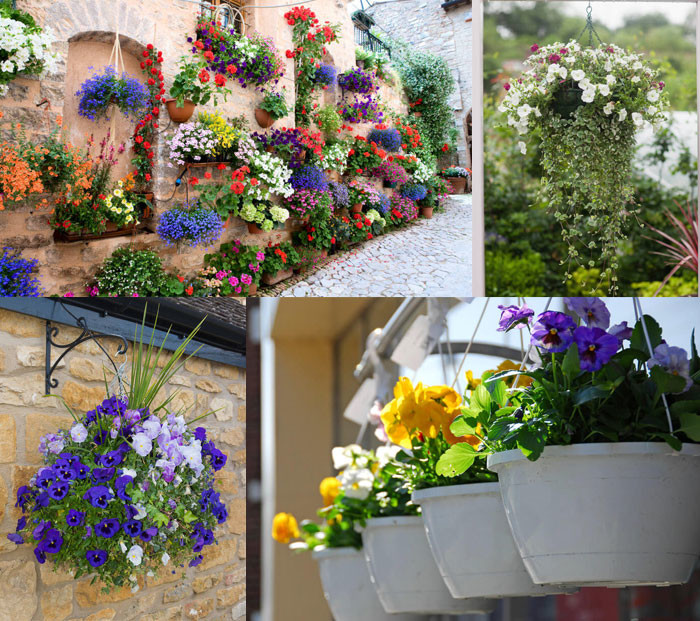 SGS Flower Basket Hanging Kit