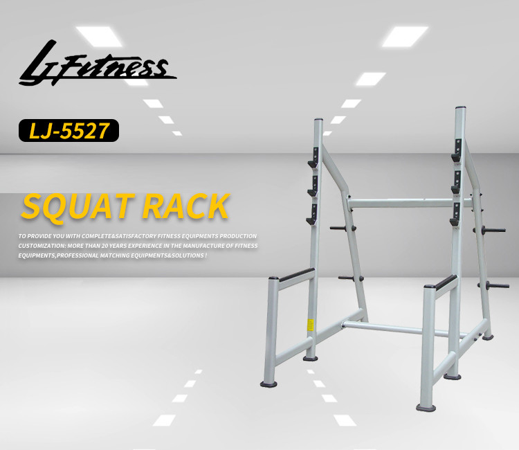 Fashionable Design Olympic Power Cage Squat Rack With No Benches