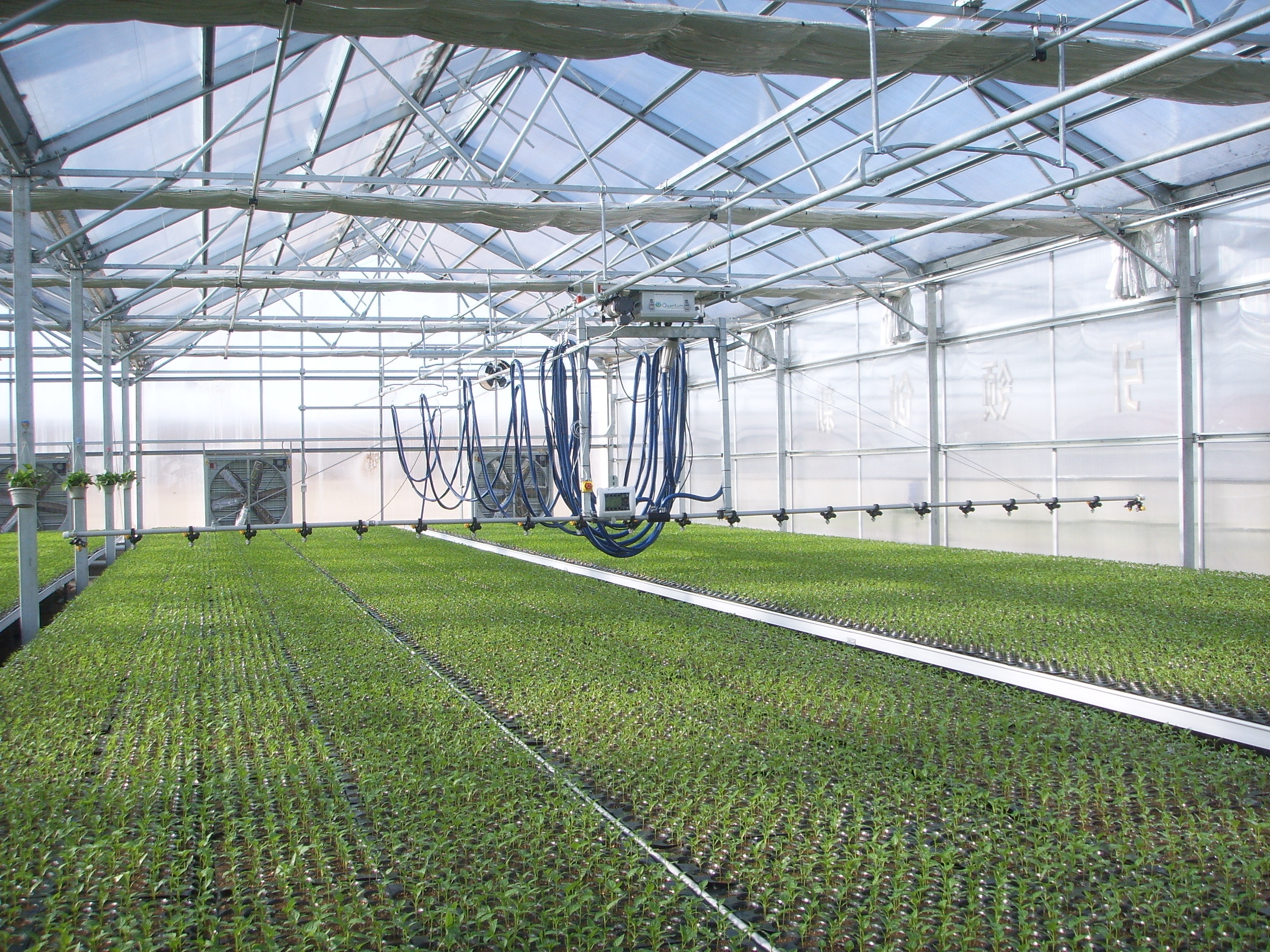 Agricultural Venlo Type Greenhouse , Stable Structure Polycarbonate Sheet Greenhouse