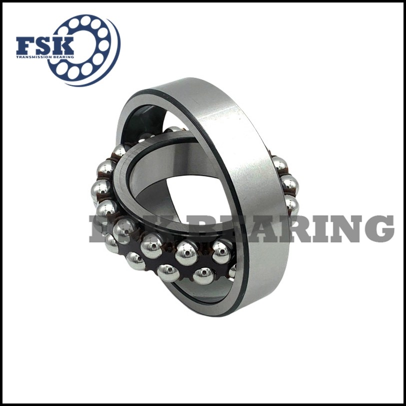 Miniature Size 129 TN9 1200 ETN9 2200 E 2RS1TN9 Self Aligning Ball Bearings Double Row