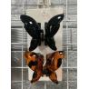 Buy cheap Girls Sweet Butterfly Claw Clips , Lightweight Plastic Hair Clamp from wholesalers