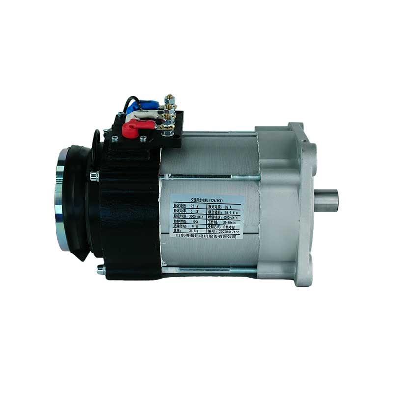 Electric Golf Cart Motor