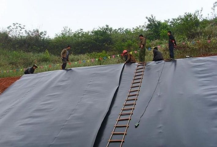 High Density Waterproof HDPE Geomembrane for Black Outdoor Shrimp Pond Fish Pond Liner