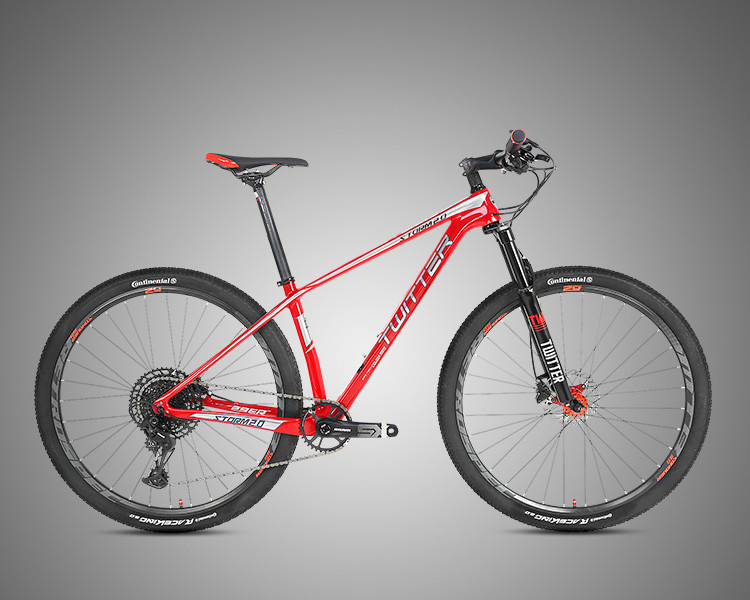 29er Carbon Fiber Trail Bike RAM SX EAGLE 12 Speed Groupset XC