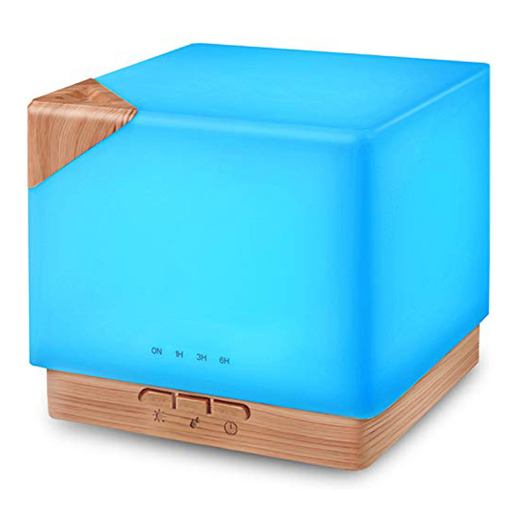 Cool mist ultrasonic humidifier 600ML touch control two speeds mist adjustment