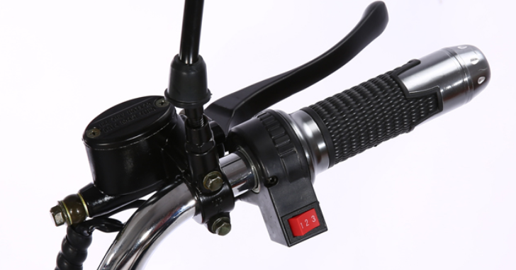 Big Harley Electric Scooter 2000w 1000w 12ah 60v 1500w Harley Coco Bike